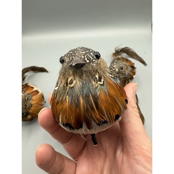 Set of 4 Feathered Clip-On Birds Long Tail Artificial Craft Décor Ornament Lot - Picture 3 of 7